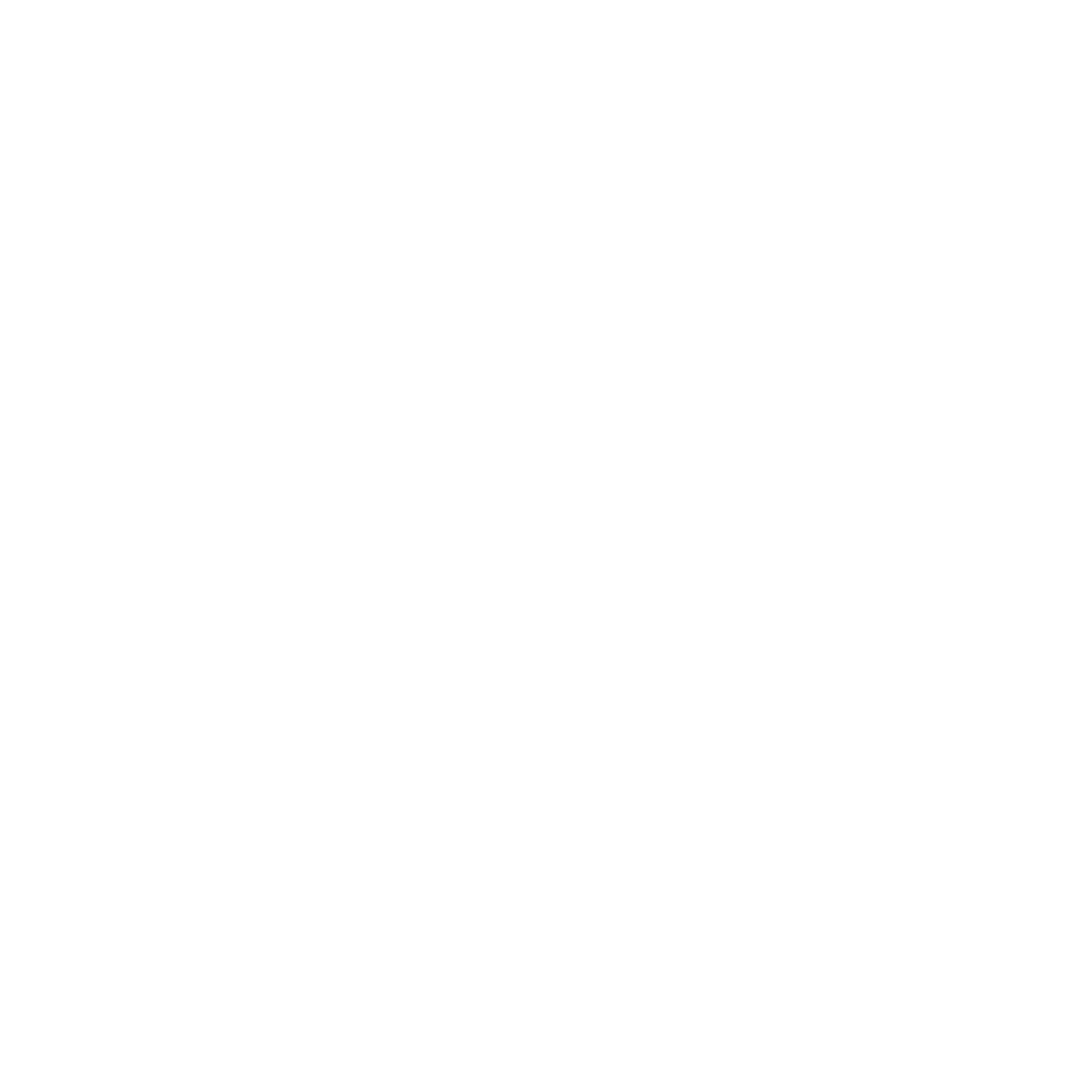 公司实力