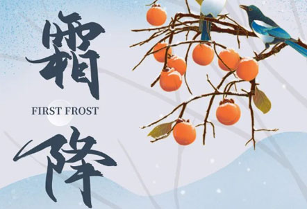 今日霜降 | 好柿成霜，喜从天降。