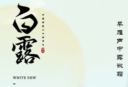 今日白露 | 露从今夜白，秋风至此凉。